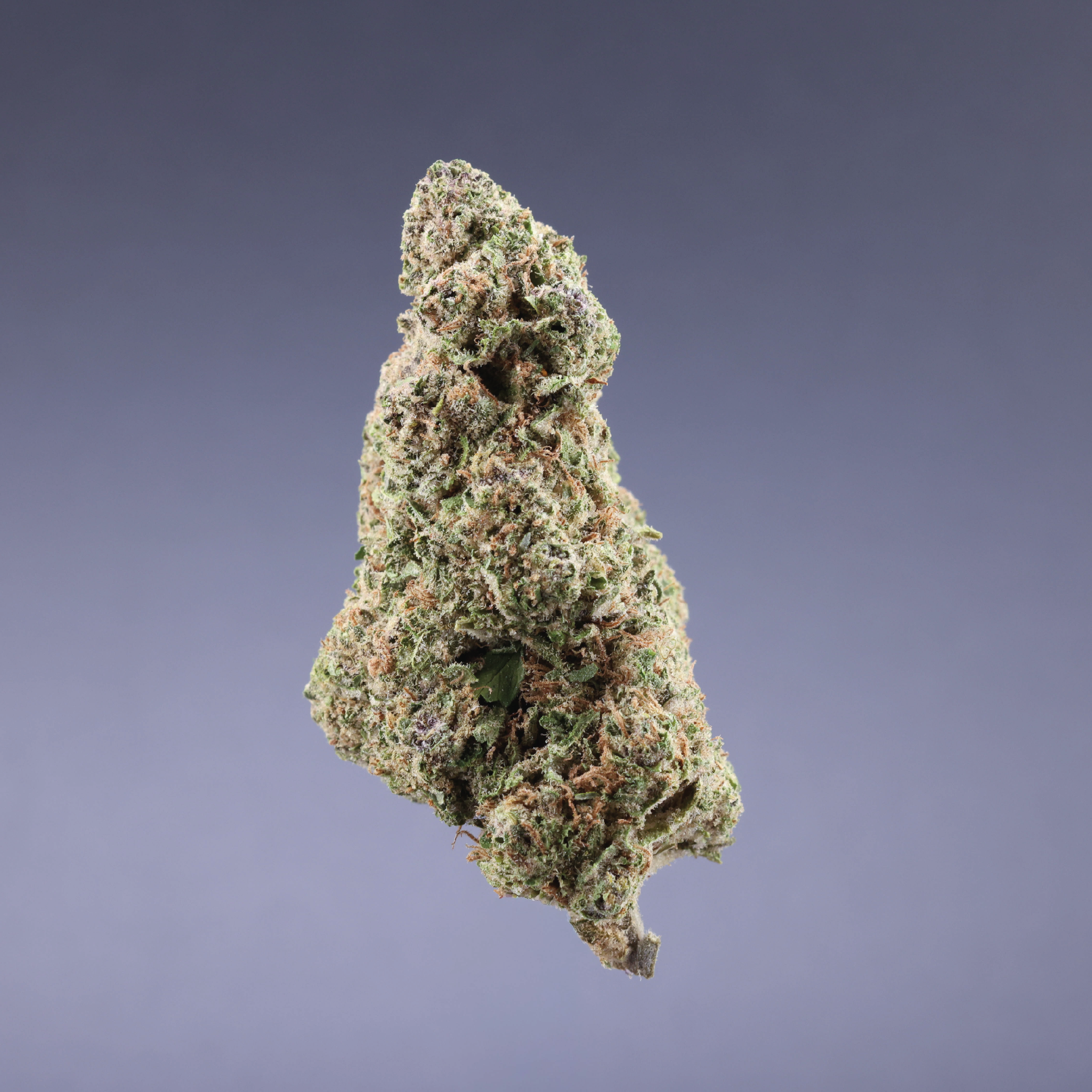 Ignite Cannabis